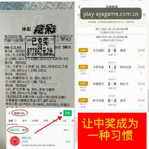 AYX体育APP安卓版深度分析：移动端沉浸式竞技体验全面解析